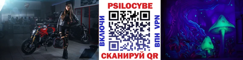 где продают   Ермолино  MEGA ссылки  Псилоцибиновые грибы Cubensis 